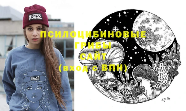 винт Горняк