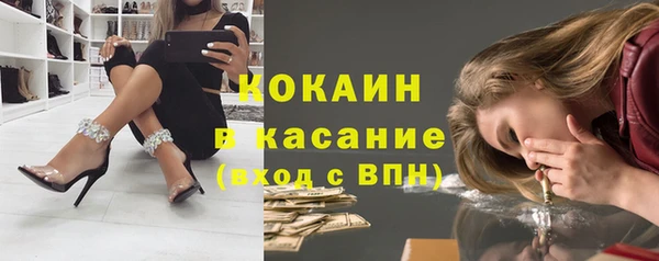 винт Горняк