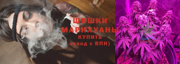 винт Горняк