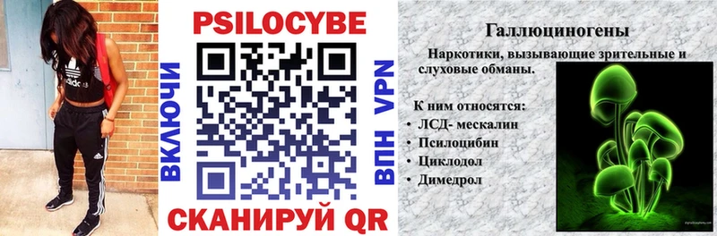 Купить закладки  Кинель  Галлюциногенные грибы Psilocybe 