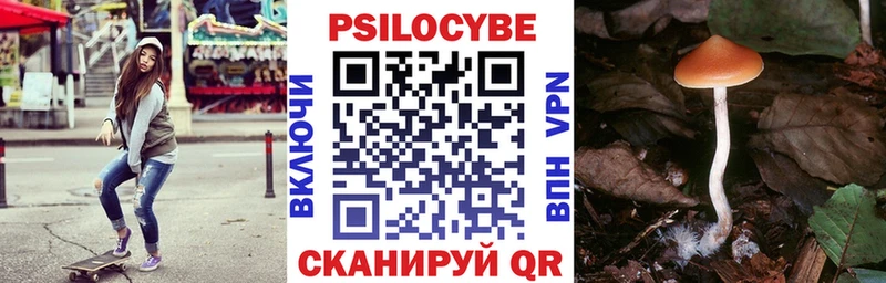 Галлюциногенные грибы Magic Shrooms Кинель